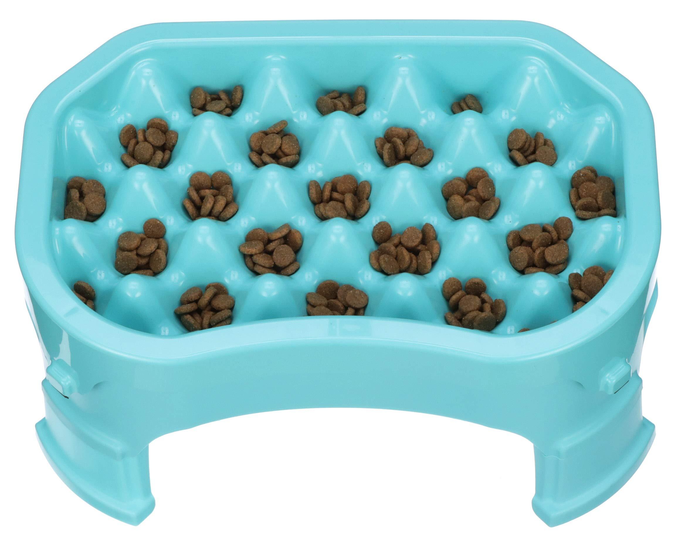 Neater Pet Brands - Neater Raised Slow Feeder Dog Bowl - Elevated and Adjustable Food Height - (6 Cup, Aquamarine)
