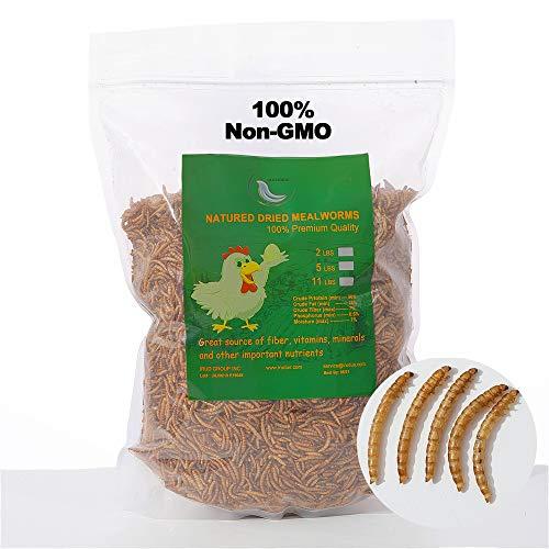 WAMSOFT 100% Non-GMO Dried Mealworms?High-Protein Mealworm Treats ?Perfect for Wild Bird Chicken Fish?5lb