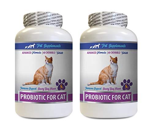PET SUPPLEMENTS cat Digestive Treats - CAT PROBIOTICS - Immune Support - Savory Beef Flavor - Natural Formula - cat probiotics for Diarrhea - 2 Bottles (120 Treats)