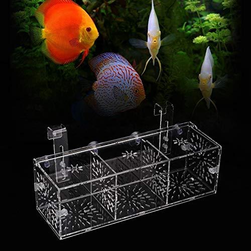 Fish Tank Breeding Isolation Box Breeder Isolation Divider Hatching Box Acrylic Transparent Aquarium Hatchery Incubator Holder(30CM*10CM*10CM)
