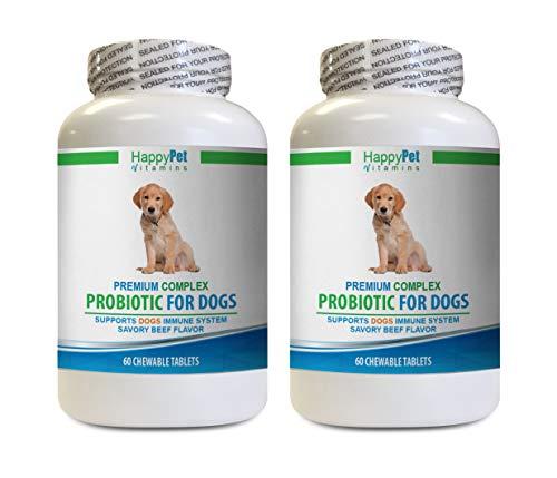 HAPPY PET VITAMINS LLC Dog probiotic Soft Chews - Dog Premium PROBIOTICS - Savory Beef Flavor - Stops Diarrhea Bad Gas Bad Breath - Gut Health - Dog Gas Relief - 2 Bottles (120 Treats)