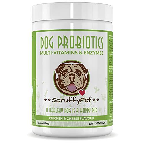 ScruffyPet Probiotics for Dogs with Multivitamins Minerals Digestive Enzymes Pumpkin and Cranberry Fruit, 36 Active Ingredients Per Soft Chew 120ct
