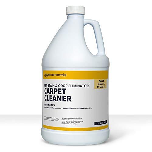 AmazonCommercial Pet Stain & Odor Eliminator Carpet Cleaner with Enzymes, 1-Gallon, 1-Pack