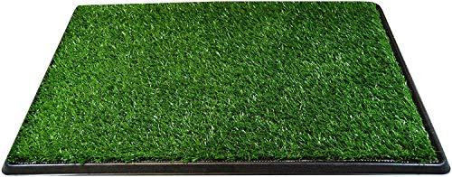 Downtown Pet Supply - Dog Potty Pad - Puppy & Dog Housebreaking Supplies - 3-Layer Super Potty Trainer System with Soft Turf Grass - Dog Pee Pads Holder -16 in x 20 in