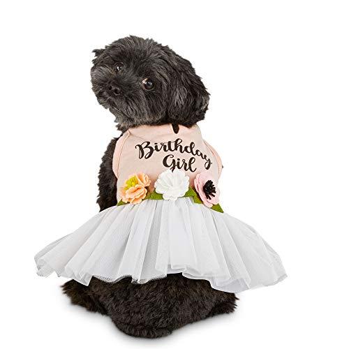 Petco Brand - Bond & Co. Birthday Girl Dog Dress, Medium