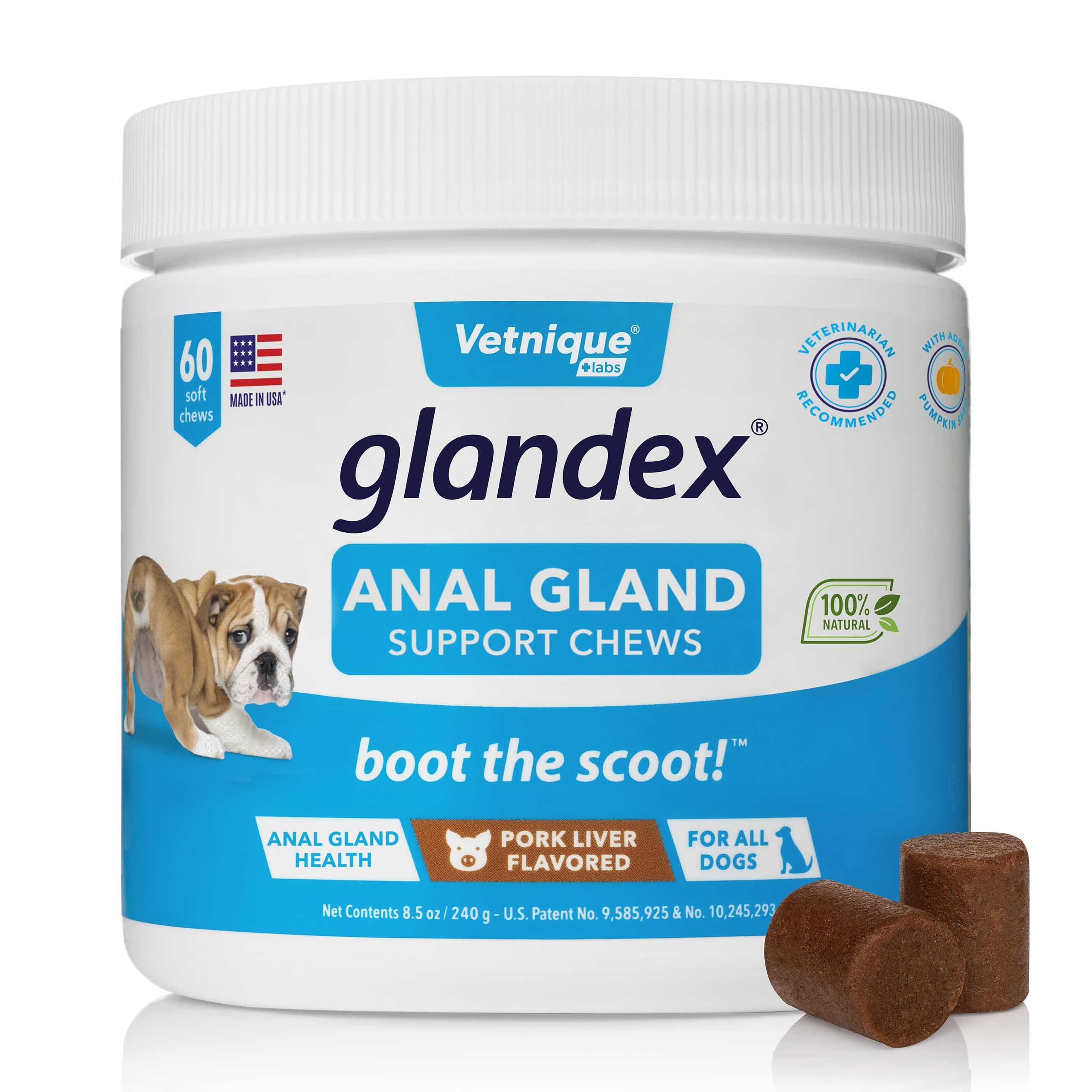 Glandex Anal Gland Soft Chew Treats with Pumpkin for Dogs 60ct Chews with Digestive Enzymes, Probiotics Fiber Supplement for Dogs - Vet Recommended - Boot The Scoot (Pork Liver) - by Vetnique Labs