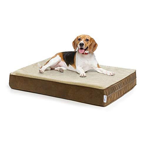 Wallace Flynn Ortho Memory Foam Dog Bed, Stain Resistant and Moisture Repellent (Small 22\\\
