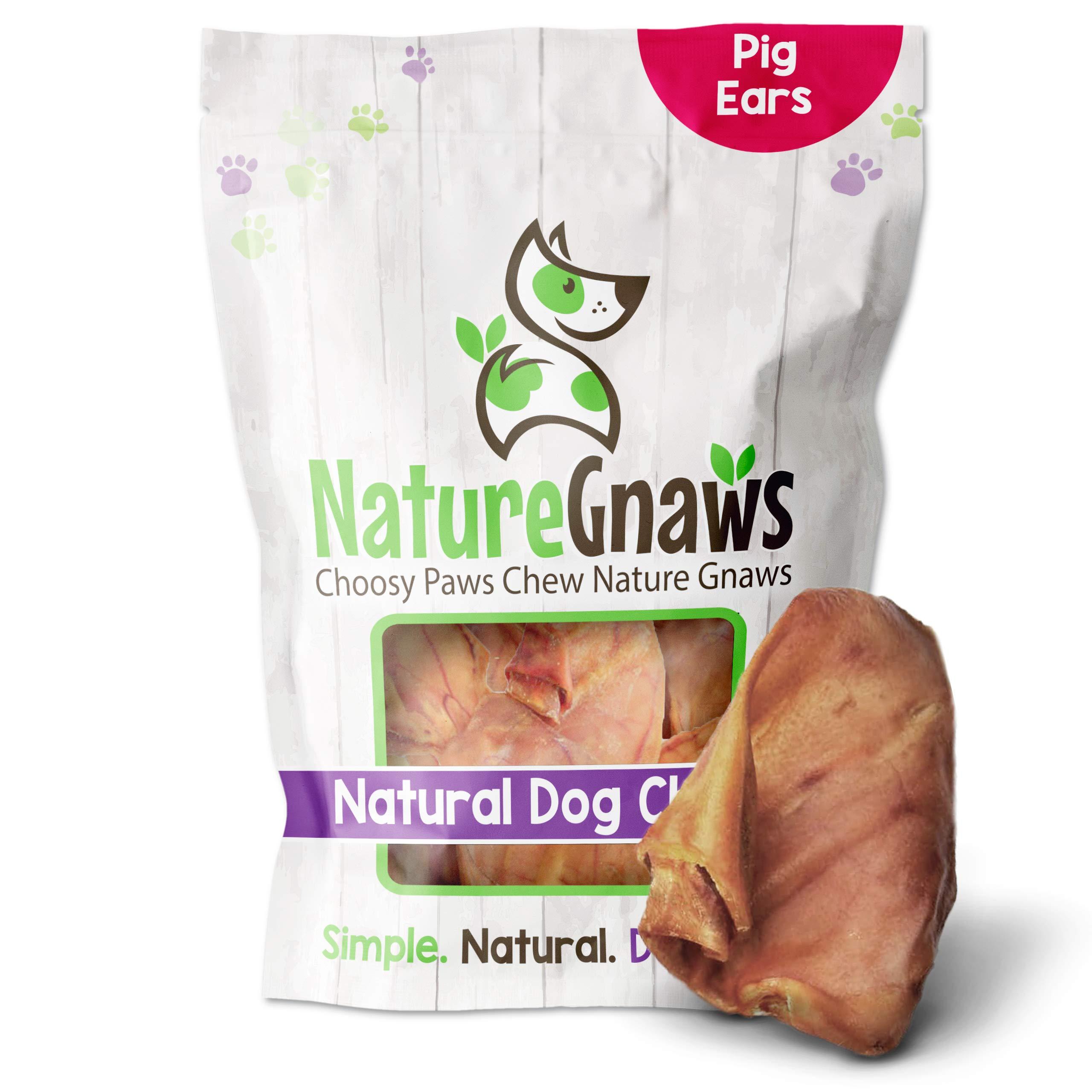 Nature Gnaws Pig Ears for Dogs - Premium Natural Pork Dental Chews - Thick Long Lasting Dog Chew Treats for Aggressive Chewers - Rawhide Free