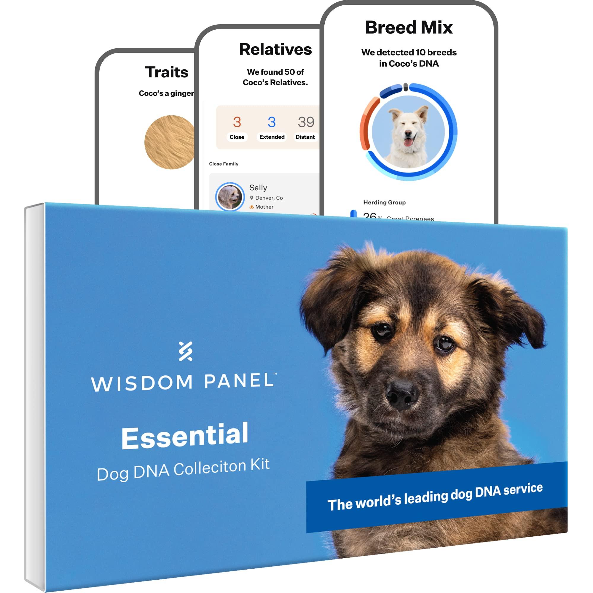 Wisdom Panel Essential: Most Accurate Dog DNA Test Kit for Breed ID and Ancestry | 25+ Genetic Health Conditions | Traits | Relatives | 1 Pack