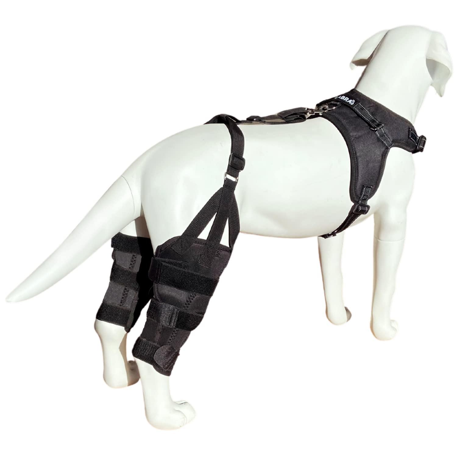 Labra Dog Canine Dual Knee Stifle Brace Wrap, Double Metal Splint Hinged Flexible Support Brace for K9 ACL, CCL, Luxating Patella, Cruciate Ligament Sprains in Back, Rear, Hind Legs - Medium