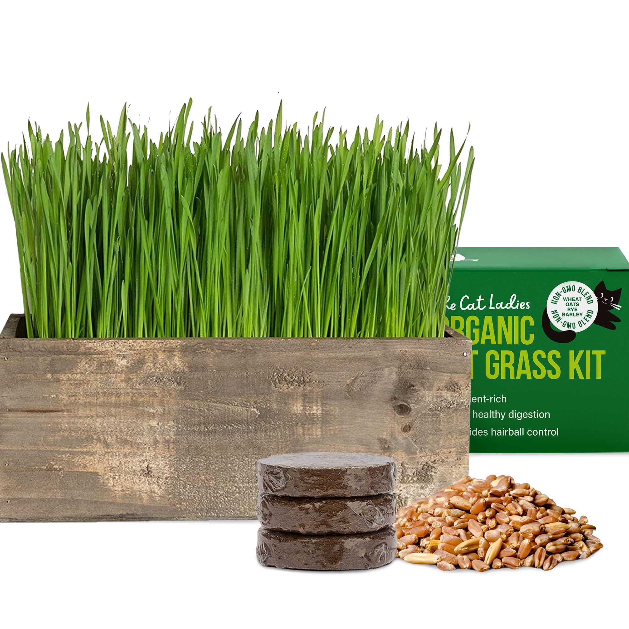 The Cat Ladies Cat Grass Kit Complete with Rustic Wood Planter, Organic Seed and Soil. Easy to Grow - Great for Indoor or Outdoor Cat, Dogs and Other Pets. Prevent Hairballs and Aid Digestion