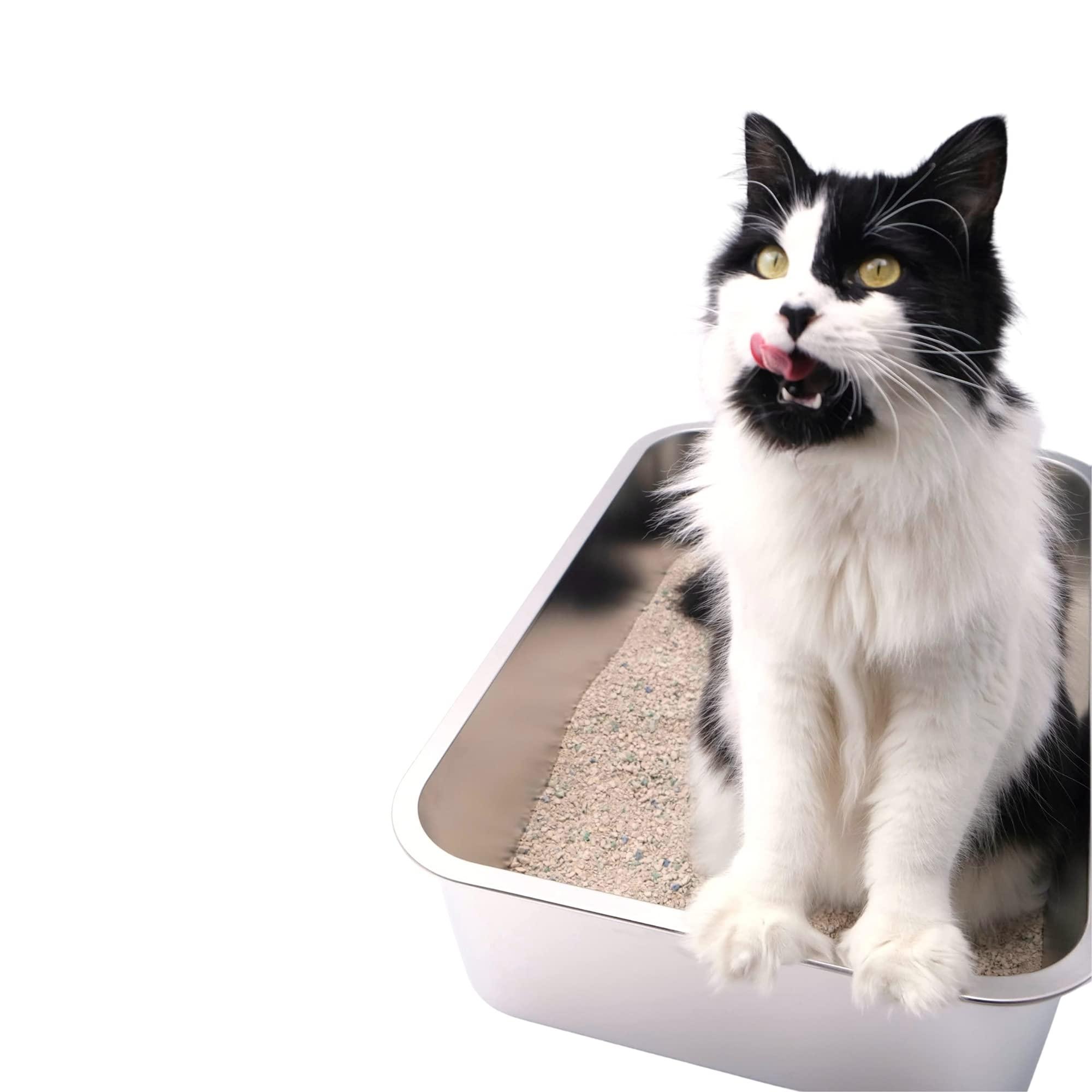 Midlee Stainless Steel Cat Litter Box- XL Size- 23.5\\\