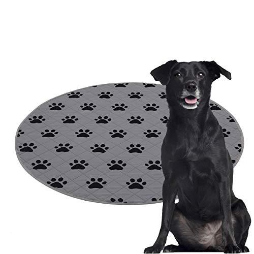 SPXTEX Dog Crate Pads Dog Pee Pads Rugs Washable Dog Pads, Non Slip Puppy Pee Pads for Small Dogs, Waterproof Pet Pad Rug, Dog Whelping Training Pads for Dogs, 2 Pieces, 40\\\