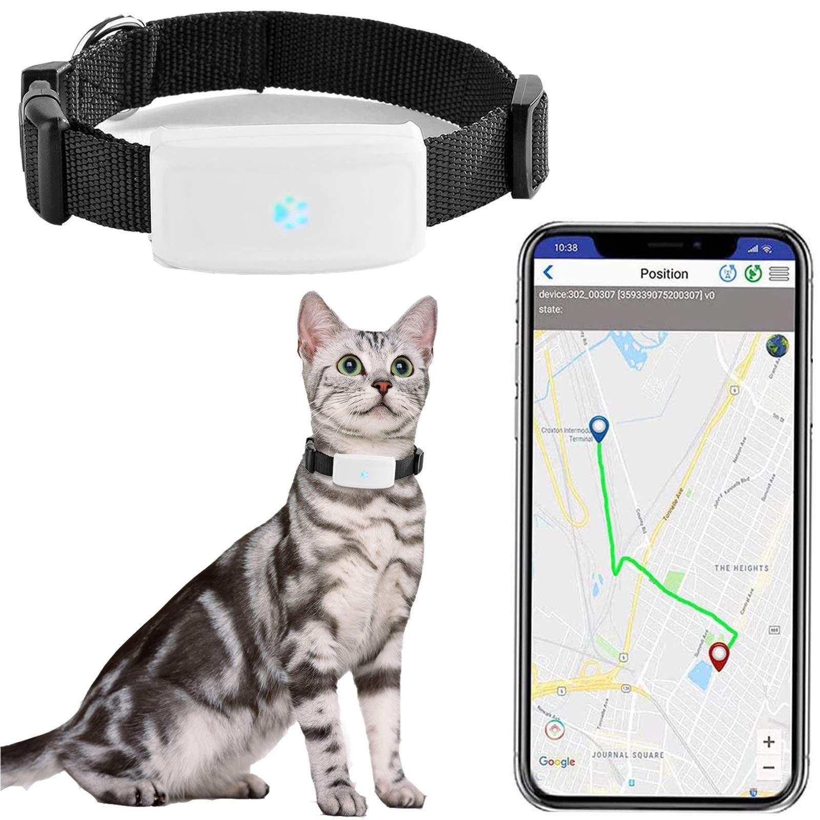 Zeerkeers Dog GPS Tracker Real Time Pet GPS Tracker Waterproof Location & Activity Tracking Collar with SOS Alarm for Dogs, and Cats, APP Control