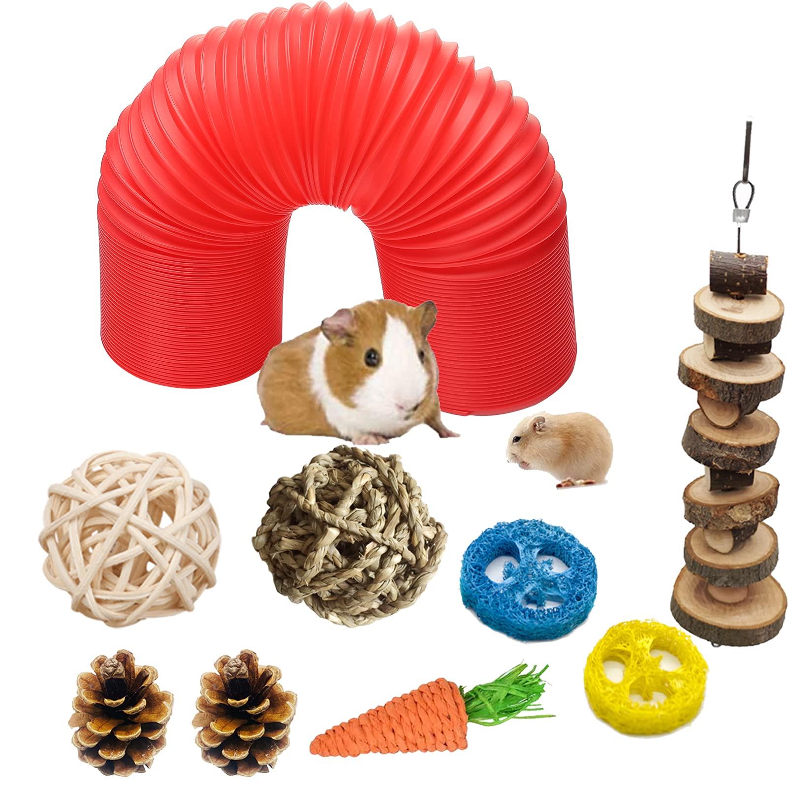 Hamster Fun Tunnel Pet Mouse Plastic Tube Toys Small Animal Foldable Exercising Training Hideout Tunnels with cute pet Toys for guinea Pigs,gerbils,Rats,Mice,Ferrets and Other Small Animals (RED)