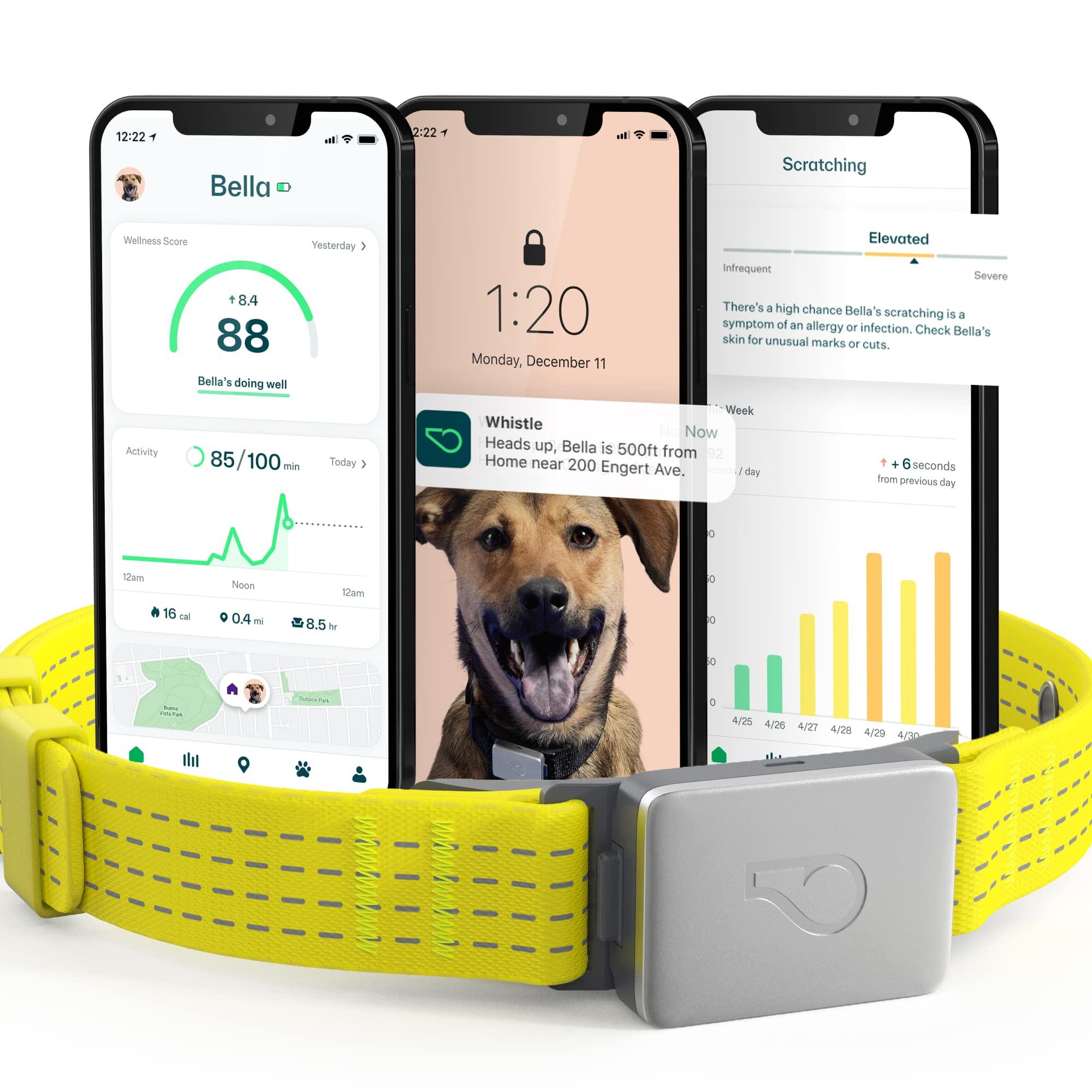 Whistle Switch GPS + Health + Fitness Smart Dog Collar, 24/7 Dog GPS Tracker Plus Dog Health & Fitness Monitor, Sleek Design, Waterproof, 2 Rechargeable Batteries, for Dogs 5lbs and up (Yellow) M/L
