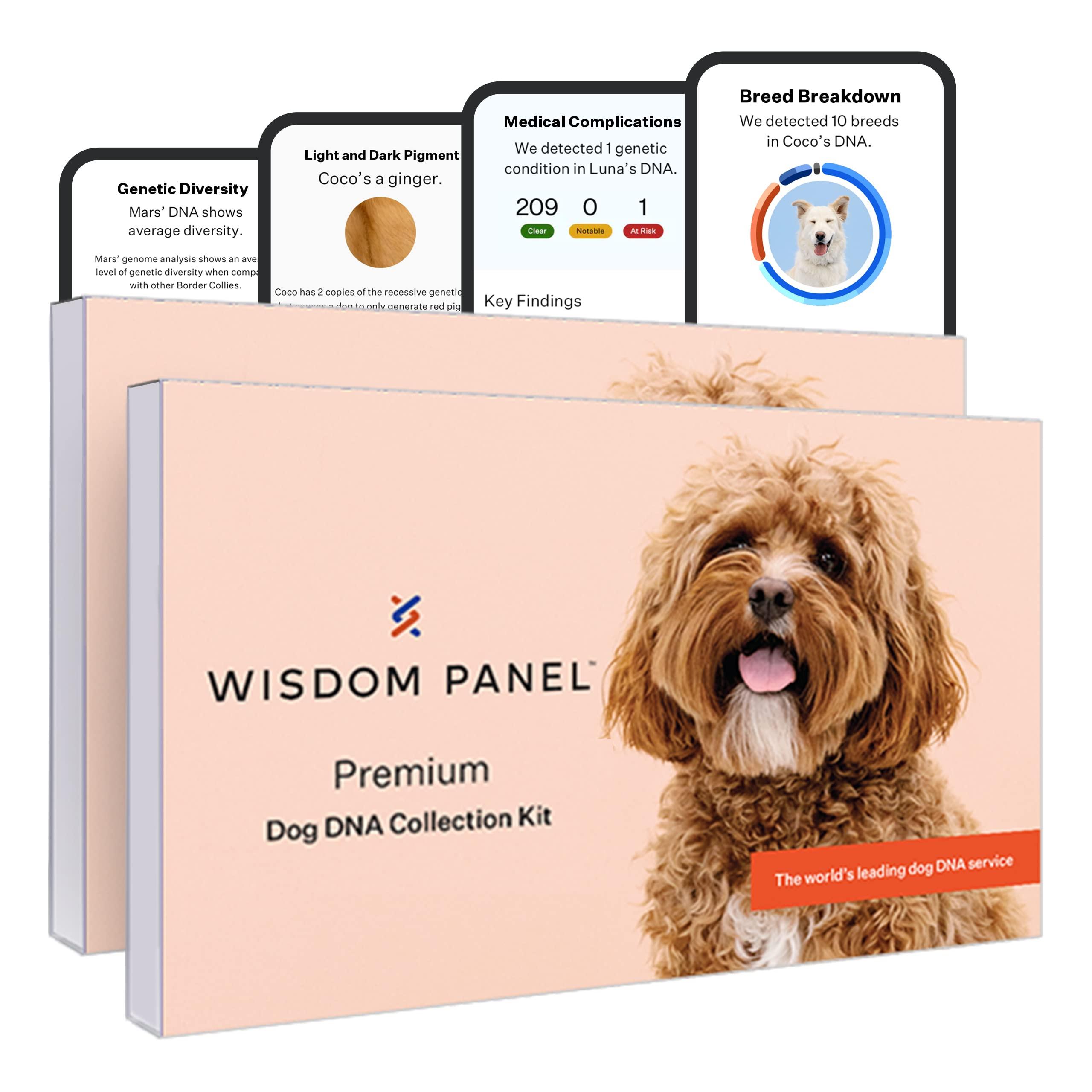 Wisdom Panel Premium: Most Comprehensive Dog DNA Test for 200+ Health Tests | Accurate Breed ID and Ancestry | Traits | Relatives | Genetic Diversity | Vet Consult | 2 Pack