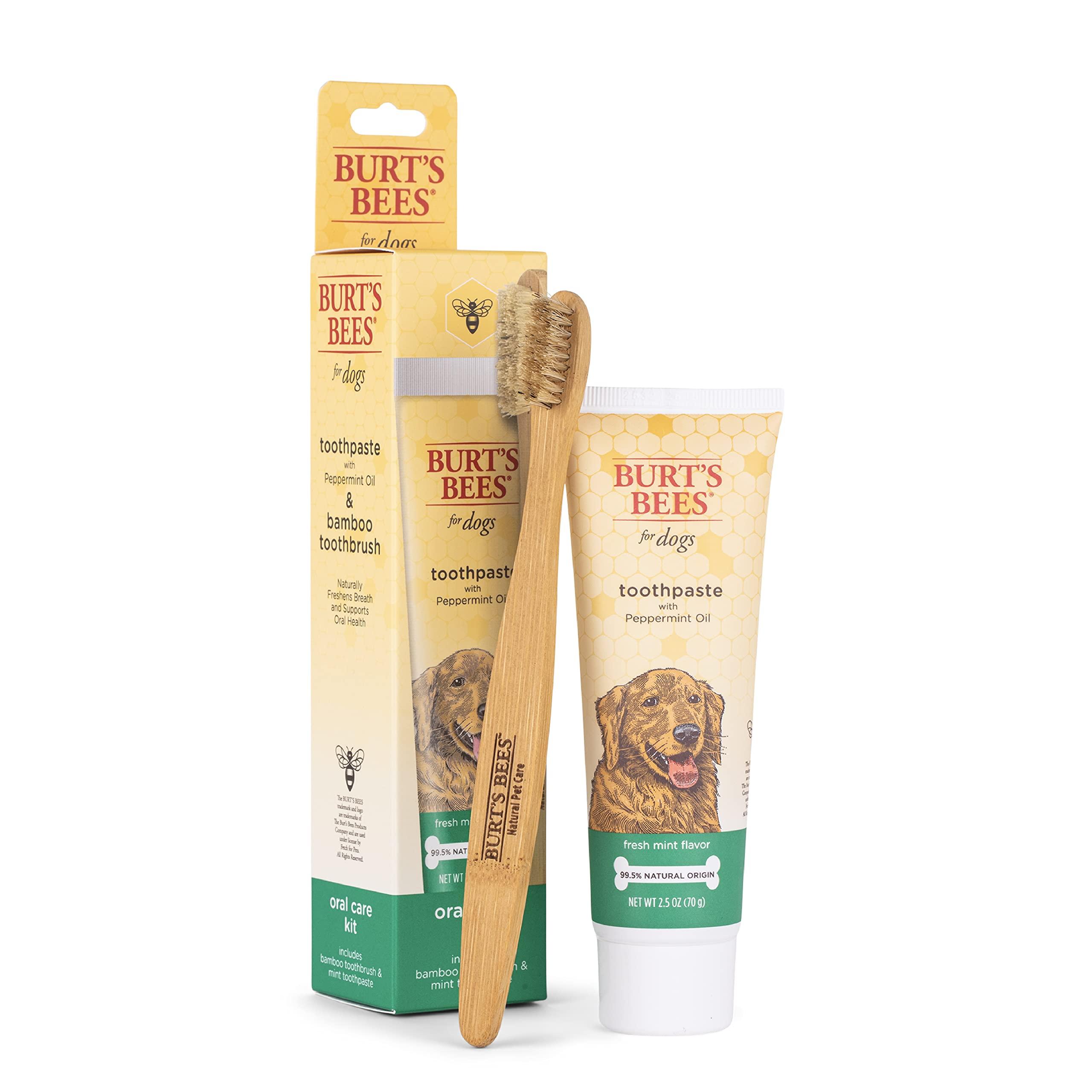 Burt's Bees for Dogs Natural Oral Care Kit | Dog Dental Kit with Toothpaste & Bamboo Toothbrush | Dog Toothbrush and Toothpaste with Honeysuckle & Peppermint Oil, Fresh Mint Flavor (2.5 oz)