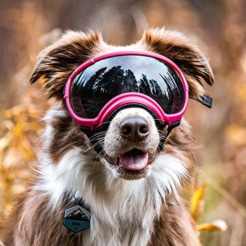 Rex Specs V2 Dog Goggles (Medium, Yazberry)