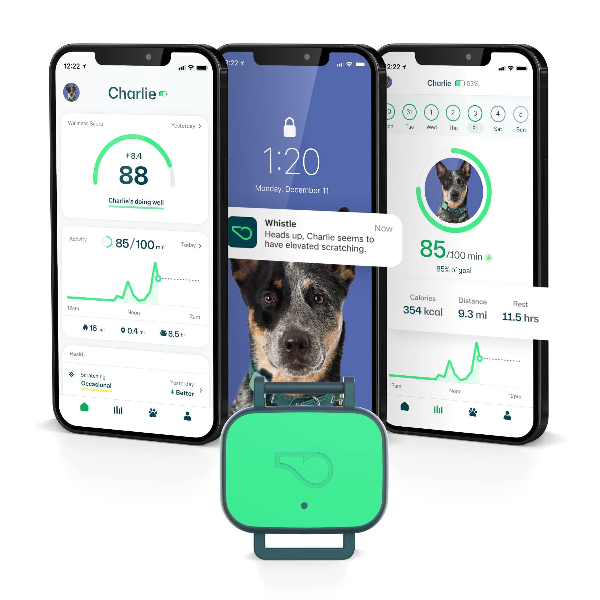 Whistle Health Smart Device | Dog Health and Fitness Tracker | Track Scratching, Licking, Drinking, Eating, Sleeping, and Activity, Green