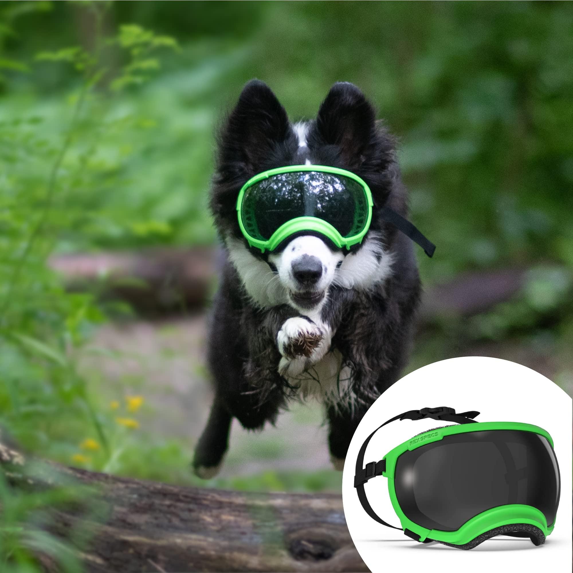 Rex Specs V2 Dog Goggles (Medium, Neon Green)