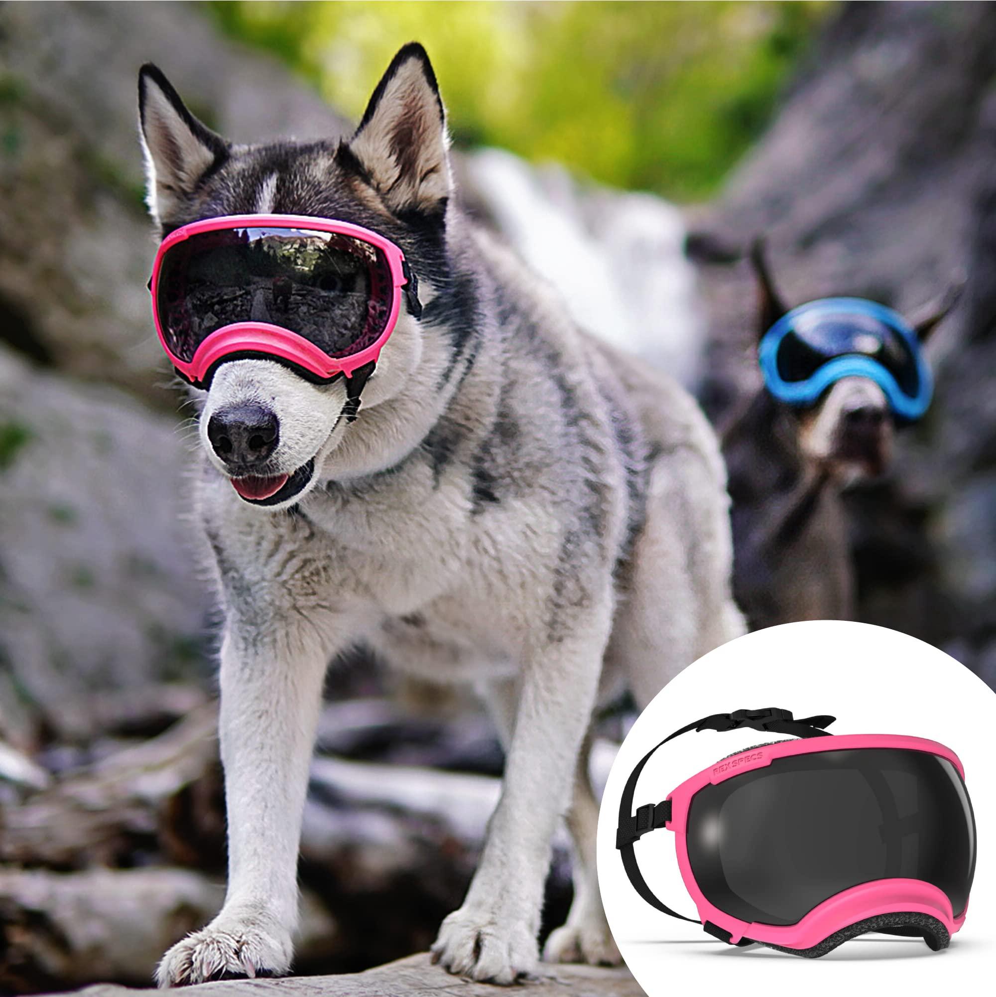 Rex Specs V2 Dog Goggles (Large, Neon Pink)