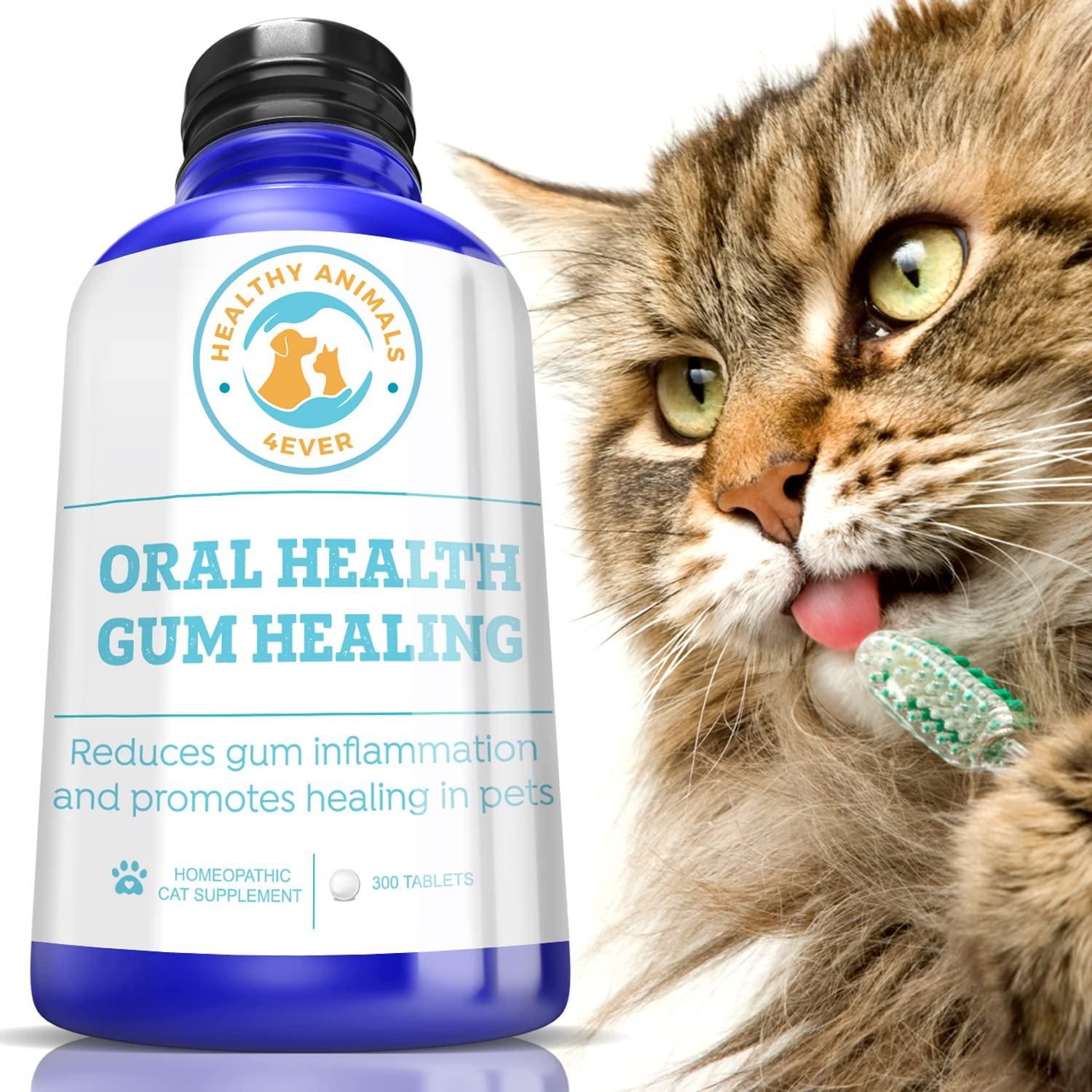 HealthyAnimals4Ever Oral Health Gum Healing for Cats - Relieves Inflammation, Soothes Pain, Fights Gum Disease - Natural, Non-GMO, Organic - Gluten, Preservative & Chemical Free Supplement - 300 ct