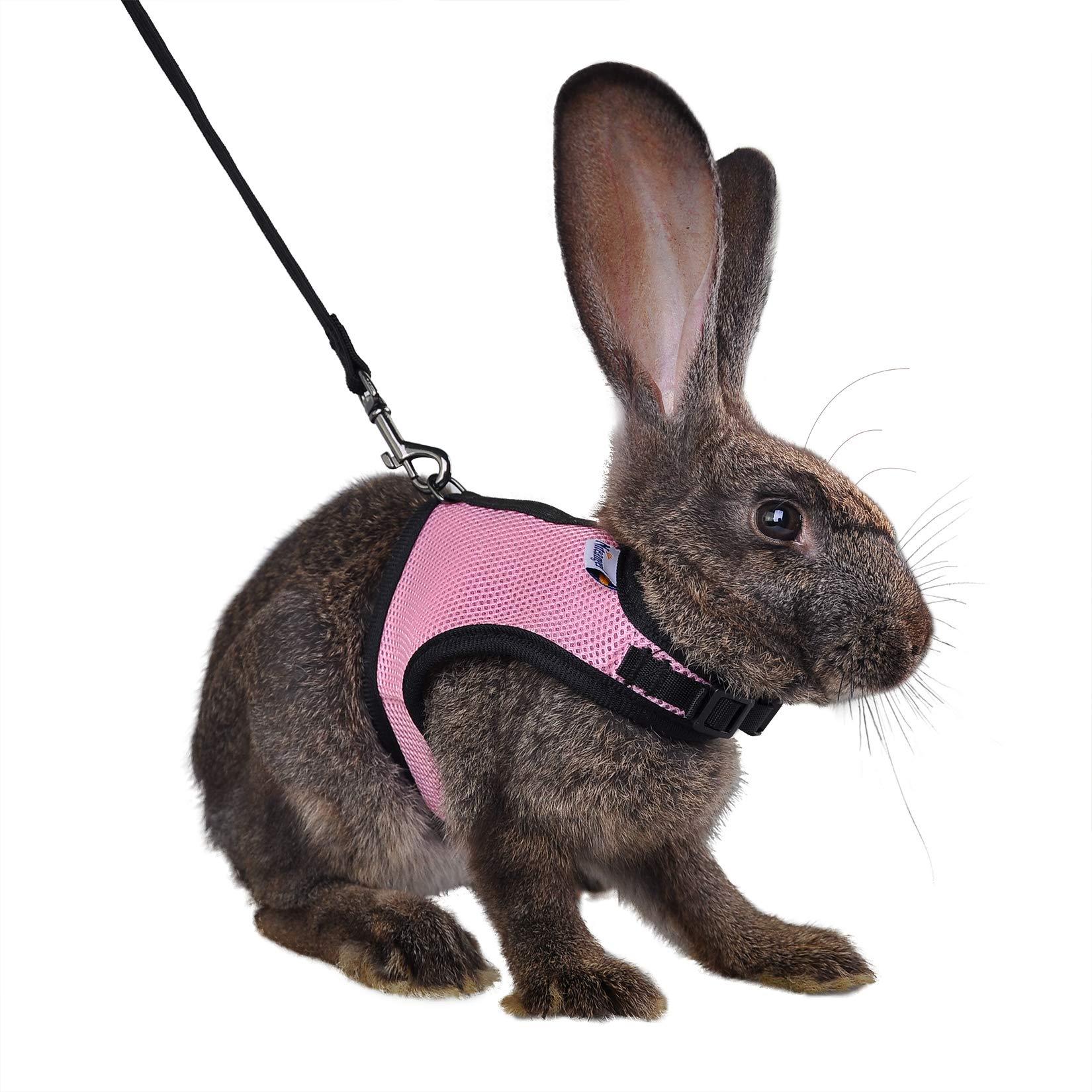 Niteangel Adjustable Soft Harness with Elastic Leash for Rabbits (M, Pink)