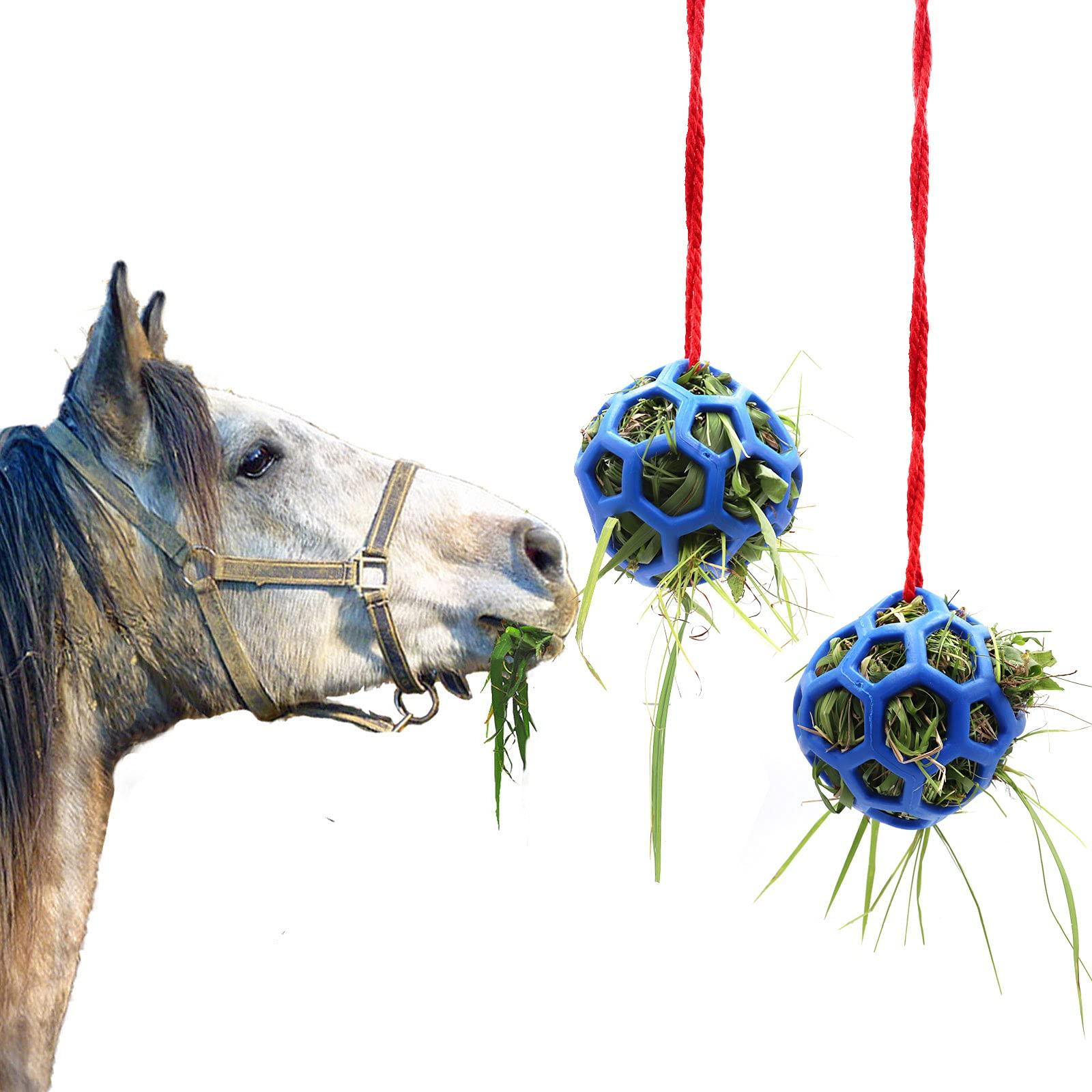 Besimple 2 Pack Horse Treat Ball Hay Feeder Toy, Goat Feeder Ball Hanging Feeding Toy for Horse Goat Sheep Relieve Stress(Blue)