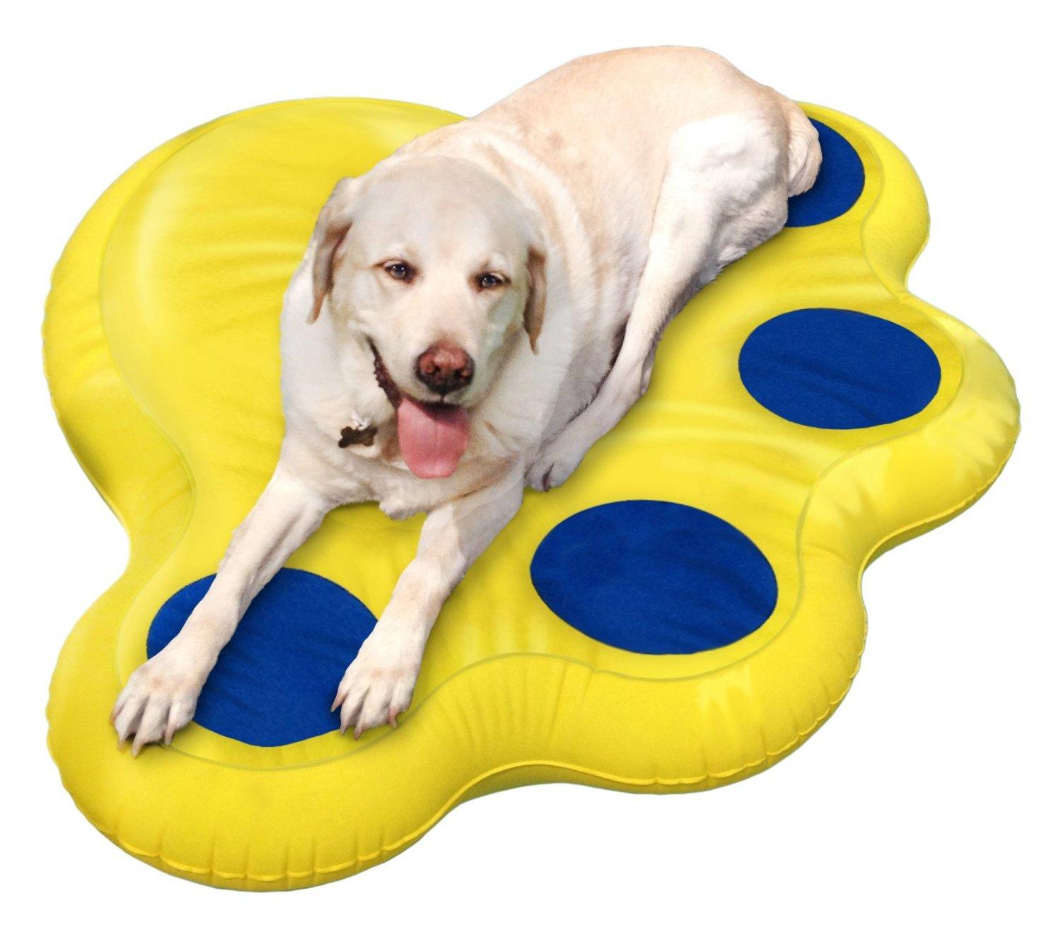 Large Inflatable Raft