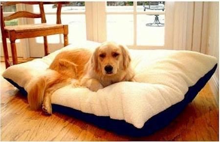 30x40 Khaki Rectangle Pet Bed By Majestic Pet Products-Medium