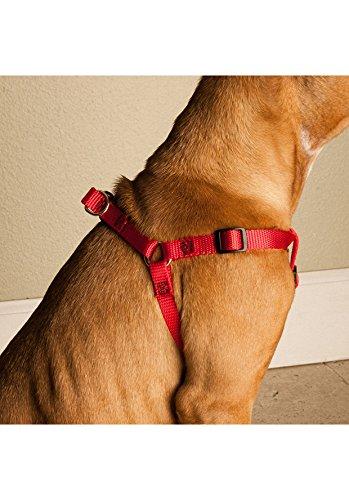 9in - 15in Step In Harness Red, Sml 10 - 45 lbs dog By Majestic Pet Products